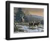 Prime Time - Whitetail Deer-Wilhelm Goebel-Framed Giclee Print