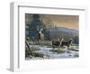 Prime Time - Whitetail Deer-Wilhelm Goebel-Framed Giclee Print