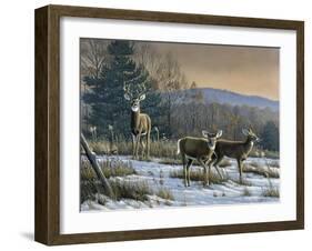 Prime Time - Whitetail Deer-Wilhelm Goebel-Framed Giclee Print