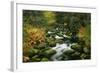 Primeval Forest with Brook in Autumn-null-Framed Photographic Print