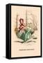 Primevere, Perce-Neige-J.J. Grandville-Framed Stretched Canvas