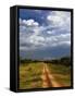 Primitive dirt road across the northern Serengeti, Serengeti National Park, Tanzania-Adam Jones-Framed Stretched Canvas