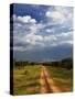 Primitive dirt road across the northern Serengeti, Serengeti National Park, Tanzania-Adam Jones-Stretched Canvas