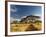 Primitive dirt roadway and acacia Trees, Tarangire National Park, Tanzania-Adam Jones-Framed Photographic Print