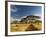 Primitive dirt roadway and acacia Trees, Tarangire National Park, Tanzania-Adam Jones-Framed Photographic Print