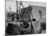 Primitive Village in Punjabi, Primitive Settlements Will Give Place to Capital City of Chandigarh-James Burke-Mounted Photographic Print
