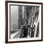 Primo Carnera on a Staircase of the Cathedral of Milan-null-Framed Photographic Print