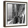 Primo Carnera on a Staircase of the Cathedral of Milan-null-Framed Photographic Print