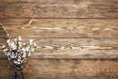 Wood Texture Background. Old Boards.-primopiano-Photographic Print