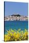 Primosten, Adriatic Coast, Dalamtia, Croatia, Europe-Markus Lange-Stretched Canvas