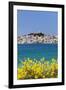 Primosten, Adriatic Coast, Dalamtia, Croatia, Europe-Markus Lange-Framed Photographic Print