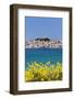 Primosten, Adriatic Coast, Dalamtia, Croatia, Europe-Markus Lange-Framed Photographic Print