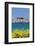 Primosten, Adriatic Coast, Dalamtia, Croatia, Europe-Markus Lange-Framed Photographic Print