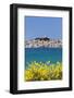 Primosten, Adriatic Coast, Dalamtia, Croatia, Europe-Markus Lange-Framed Photographic Print