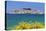 Primosten, Dalmatian Coast, Croatia, Europe-Markus Lange-Stretched Canvas