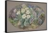 Primrose and Orchid-Thomas Edwin Mostyn-Framed Stretched Canvas