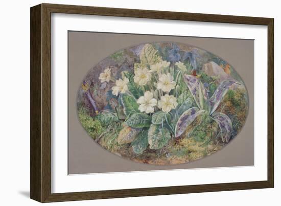 Primrose and Orchid-Thomas Edwin Mostyn-Framed Giclee Print