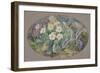Primrose and Orchid-Thomas Edwin Mostyn-Framed Giclee Print