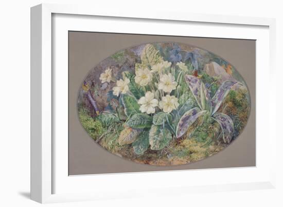 Primrose and Orchid-Thomas Edwin Mostyn-Framed Giclee Print