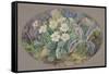 Primrose and Orchid-Thomas Edwin Mostyn-Framed Stretched Canvas