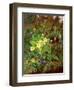 Primrose and Robin-William John Wainwright-Framed Giclee Print