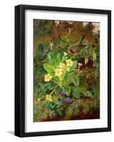 Primrose and Robin-William John Wainwright-Framed Giclee Print