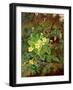 Primrose and Robin-William John Wainwright-Framed Giclee Print