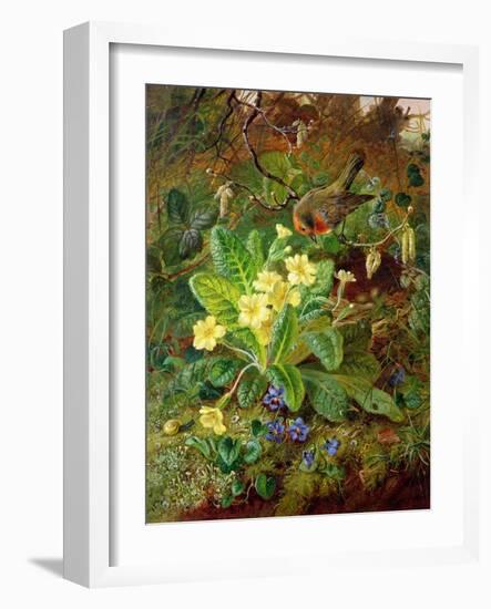 Primrose and Robin-William John Wainwright-Framed Giclee Print