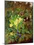 Primrose and Robin-William John Wainwright-Mounted Giclee Print