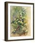 Primrose Bank-John Gubbins-Framed Giclee Print