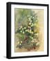 Primrose Bank-John Gubbins-Framed Giclee Print