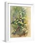 Primrose Bank-John Gubbins-Framed Giclee Print