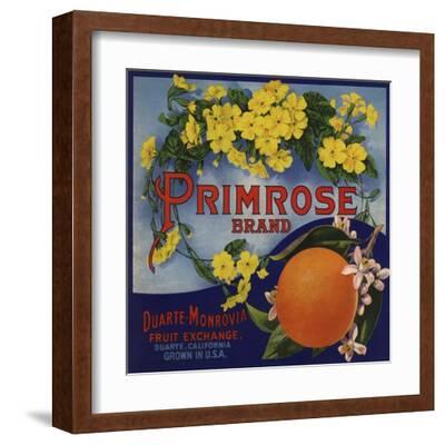 Monrovia Heights California Orange Citrus Fruit Crate Label Vintage Art Print 