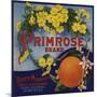 Primrose Brand - Duarte, California - Citrus Crate Label-Lantern Press-Mounted Art Print