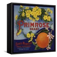 Primrose Brand - Duarte, California - Citrus Crate Label-Lantern Press-Framed Stretched Canvas