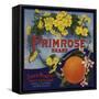 Primrose Brand - Duarte, California - Citrus Crate Label-Lantern Press-Framed Stretched Canvas