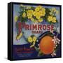 Primrose Brand - Duarte, California - Citrus Crate Label-Lantern Press-Framed Stretched Canvas