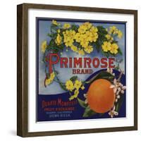 Primrose Brand - Duarte, California - Citrus Crate Label-Lantern Press-Framed Art Print