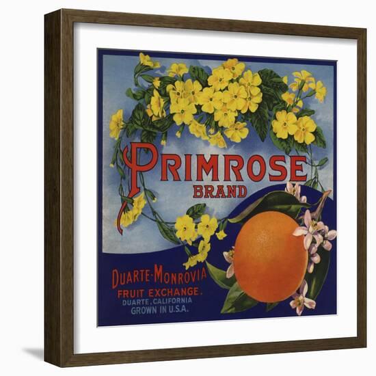 Primrose Brand - Duarte, California - Citrus Crate Label-Lantern Press-Framed Art Print