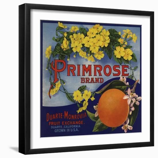 Primrose Brand - Duarte, California - Citrus Crate Label-Lantern Press-Framed Art Print