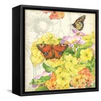 Primrose & Butterflies-Julie Paton-Framed Stretched Canvas