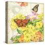 Primrose & Butterflies-Julie Paton-Stretched Canvas