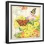 Primrose & Butterflies-Julie Paton-Framed Art Print