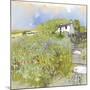 Primrose Cottage-Ken Hurd-Mounted Giclee Print