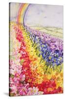 Primrose Rainbow-Joan Thewsey-Stretched Canvas