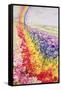 Primrose Rainbow-Joan Thewsey-Framed Stretched Canvas