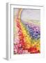 Primrose Rainbow-Joan Thewsey-Framed Giclee Print