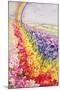 Primrose Rainbow-Joan Thewsey-Mounted Giclee Print