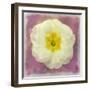 Primrose White-Cora Niele-Framed Giclee Print