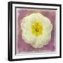 Primrose White-Cora Niele-Framed Giclee Print